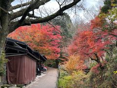 -三千院