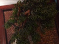 -唐宫足道·SPA·影院会馆(木渎店)