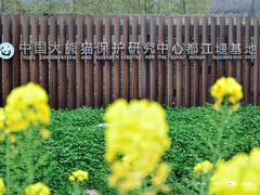 -都江堰中华大熊猫苑