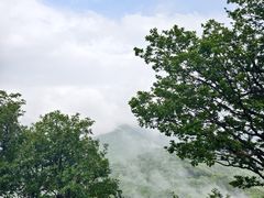 -三块石国家森林公园