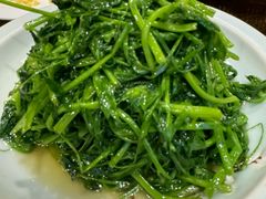 -鸽子窝(青塔店)