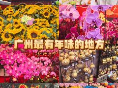 -越秀西湖花市(广州城市广场花卉店)