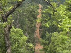 -青龙山国家森林公园