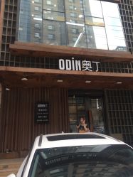 -ODIN 奥丁形象设计 