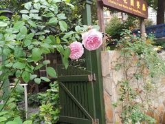 -宝翠花园餐厅(沙湖店)