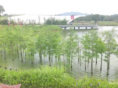 -香山湖公园