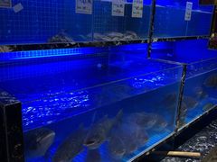 -姜君·千岛湖鱼头馆(浦东大道店)