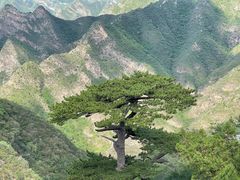 -圣莲山风景区