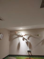-香秀空间科技抗衰·美容中心