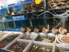 水产区-77号·蒸海鲜青岛菜(积米崖店)