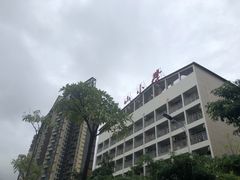 -深圳市坪山区中山小学