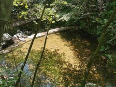 -青峰峡国家森林公园