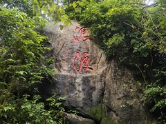 -野狸岛