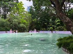 -九龙公园