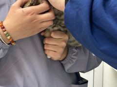 -贝康宠物医院·犬猫全科·小动物特色诊疗中心(东环路店)