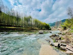 -莫干山风景区