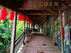 -鲤鱼塘农家山庄