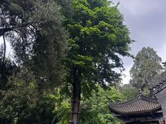 -武侯墓风景区