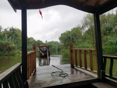 -溱湖国家湿地公园