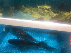 -元银甲·湖北地标美食(汉阳店)
