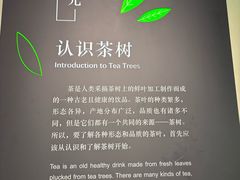 -中国茶叶博物馆(双峰馆区)