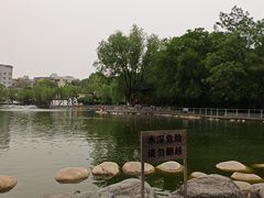 -莲湖公园
