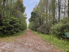 -上海海湾国家森林公园