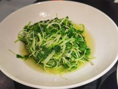 炒鸡毛菜-集贤门·徽菜(福田店)