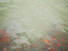 -廊坊文化艺术中心