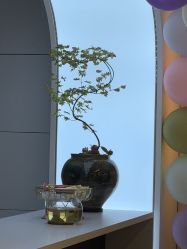 -章光101防脱养发荟