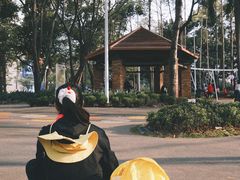 -杨梅红艺术教育(深圳南山书城教学中心)