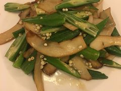 杏鲍菇炒秋葵-静莲斋素食(慈云寺店)
