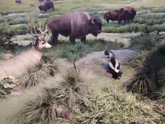 -陕西自然博物馆