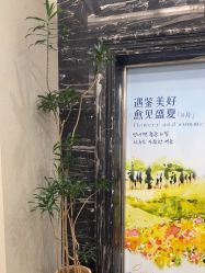 -上海首尔丽格医疗美容医院