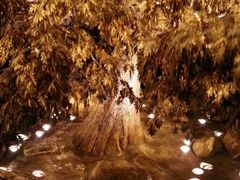 -永利澳门酒店