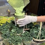 这才是春天的正确打开方式！！