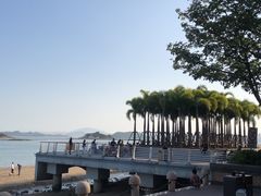 -海沧湾公园