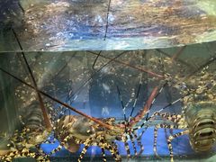 -友鹏海鲜(新宜白大道店)