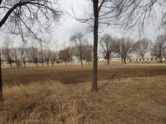 -北京群众马术培训基地