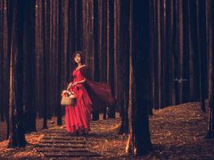 -铁山坪森林公园