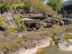 -广州七星岗古海岸遗址科学公园
