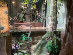 -香港海洋公园