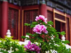 -故宫博物院(故宫)