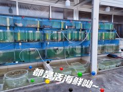 -老太太海鲜城(森林公园任家台店)