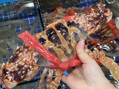 -明记海鲜大排档(巽寮湾店)