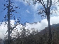 -海螺沟风景区
