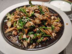 -秀儿四九城·新京菜(亚运村鸟巢店)
