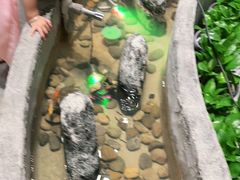 -湘芙蓉·湖南菜(椒江店)