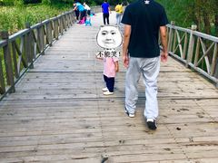 -蒲河岛湿地公园