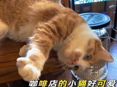 -海惠年代咖啡